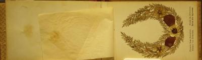 Early 20th Century Souvenir Olive Wood Book of Flowers from The Holy Land