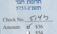 ,Agudath Israel of America (New York, New York) - Payment Stub, 1992