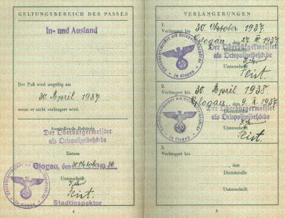 Deutsches Reich Peise-Pass