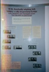 Photo Auschwitz Poster (Finding Family) 