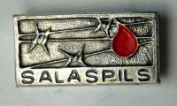 Salaspils Survivor & Commemorative Pin