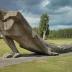 Salaspils Concentration Camp Survivor & Commemorative Pin