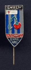 Auschwitz / Birkenau Commemorative Pin