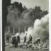 Auschwitz-Birkenau Postcard Showing a view of the Sondercommando in the Process of Cremation of Corpses on Pyres after the were Gassed