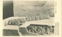 Auschwitz-Birkenau Postcard Showing a Model of one of the Crematorium