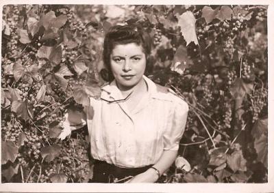 Photographs & Documents of Josef & Freda Bienenfeld after Surviving the Holocaust