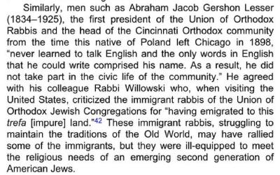 Story of Rabbi Avrahom Gershon Lesser from Judaism in America