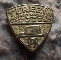 Terezin 20th Anniversary Pin