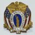 Independent Order of Brith Abraham Pin