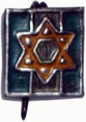 Jewish Brigade Pin