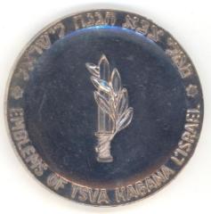Medal in Honor of the Bar Mitzvah Year (13th) of the Establishment of the Israel Defense Forces - TSVA HAGANA L’ISRAEL, 1961 
