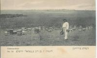 Postcard of Bee Hives (Bienenstocke) in the land of Israel