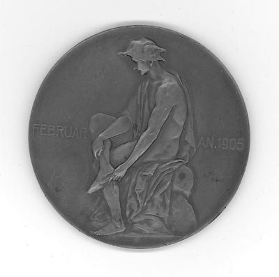 Carl Magnus Medal
