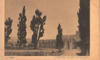 E. M. Lilien Postcard “Cypressen Auf Dem Tempelplatz” (“Cypresses on Temple Square”)